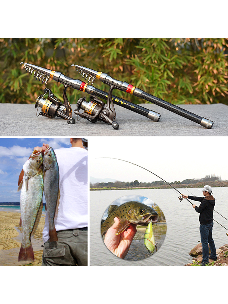 Fishing Rod Spinning Reel Comb - Fishing Lure Jig のレビューと価格
